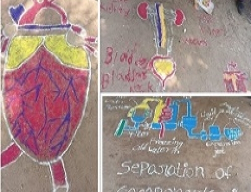 Creativity & Education